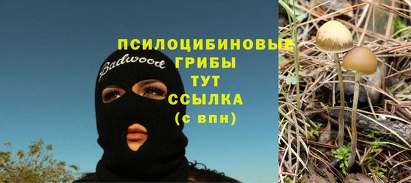 apvp Алзамай