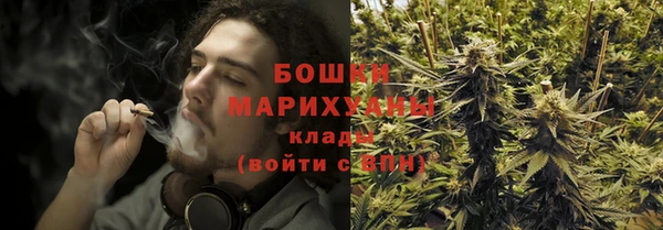 дурь Алексеевка