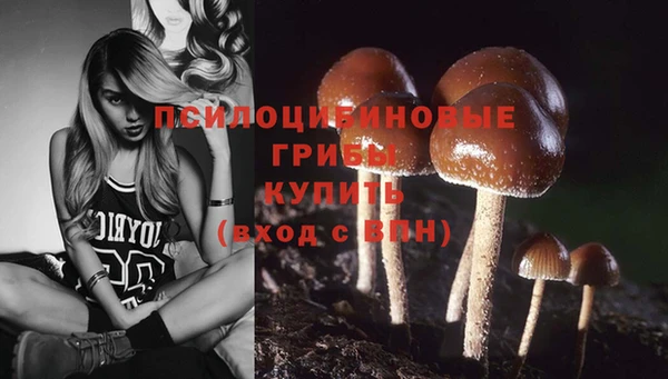 дурь Алексеевка
