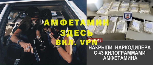 метадон Алексин