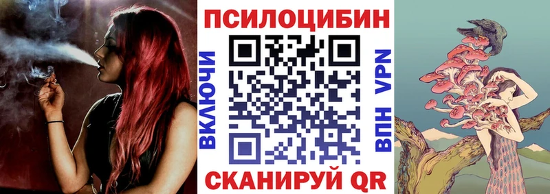 Галлюциногенные грибы мицелий  продажа наркотиков  Пласт 